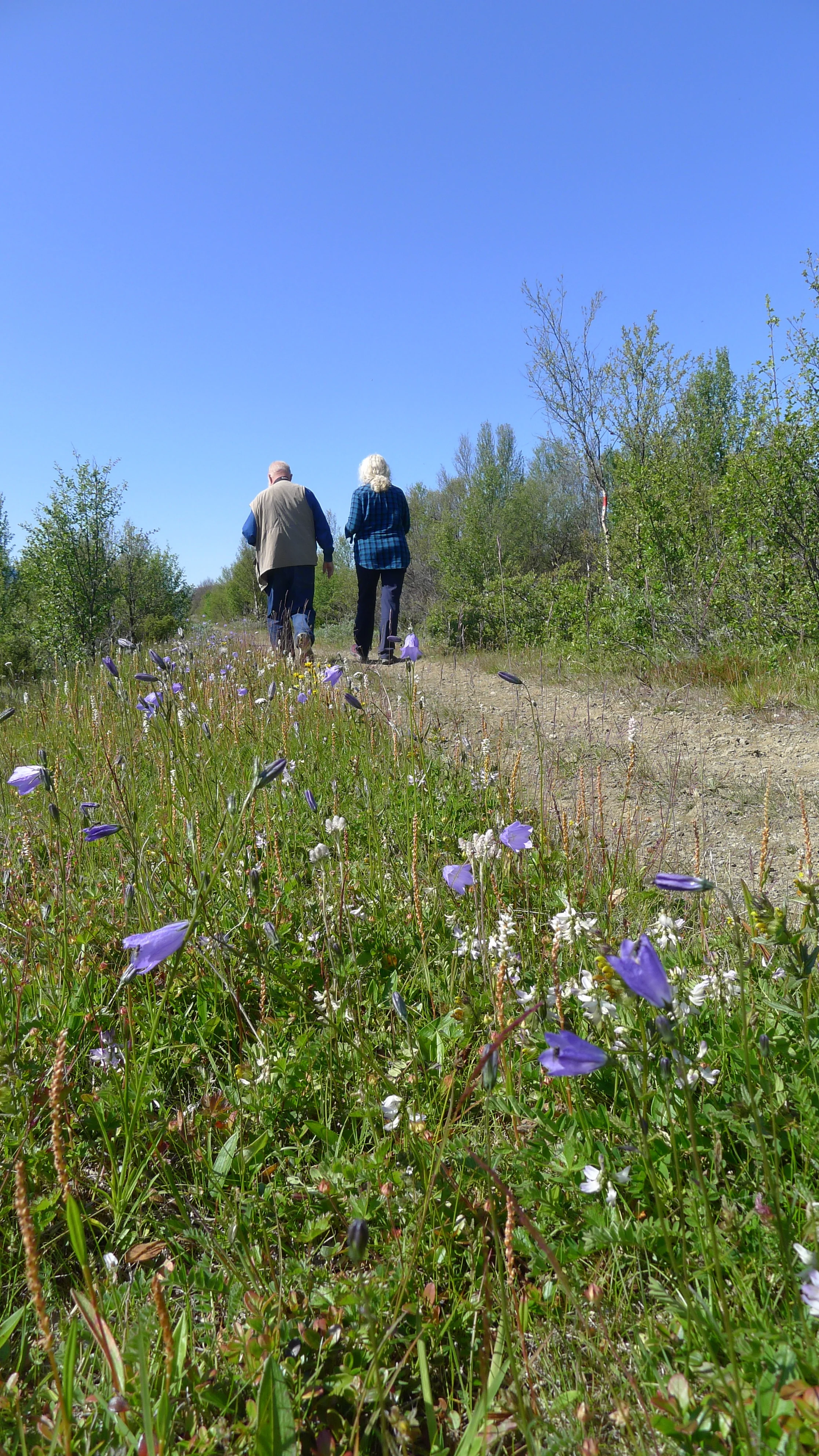 Kartleggingen av kongevegen skrider fram - nye oppdagelser hver dag!
