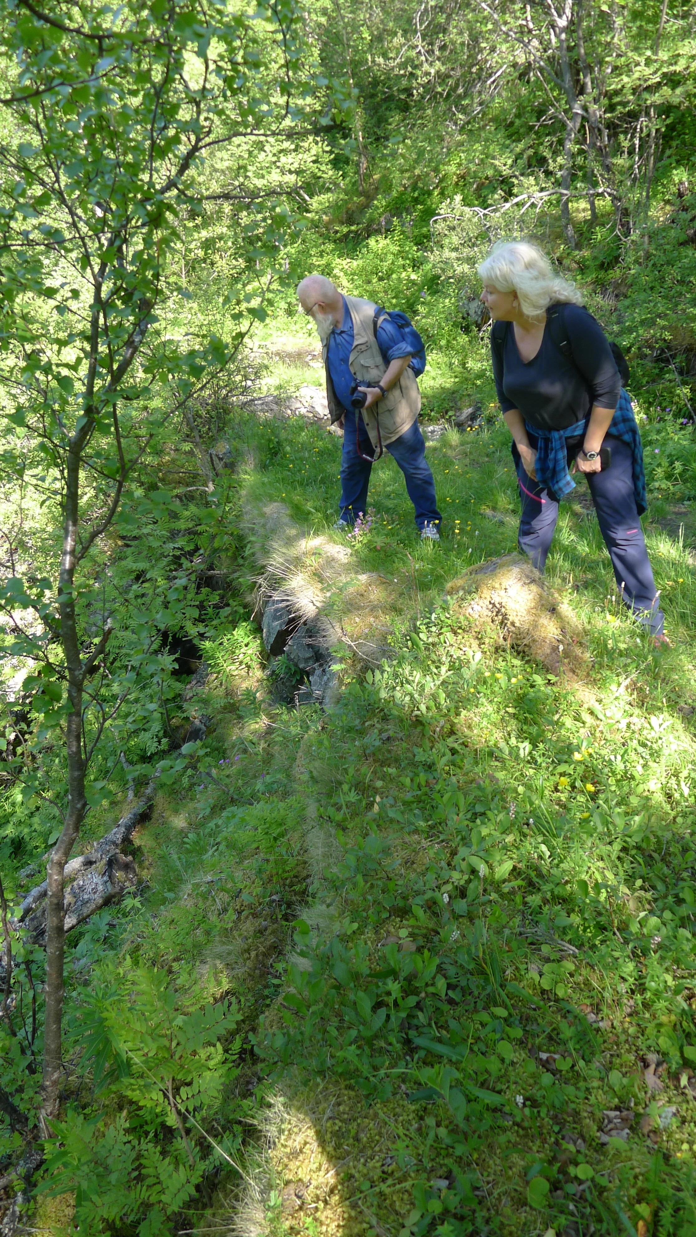 Kristin Prestvold og Geir Paulsrud titter over muren ved Vårstigen syd for Hestehåggån i Drivdalen. Foto: Marit Johansson