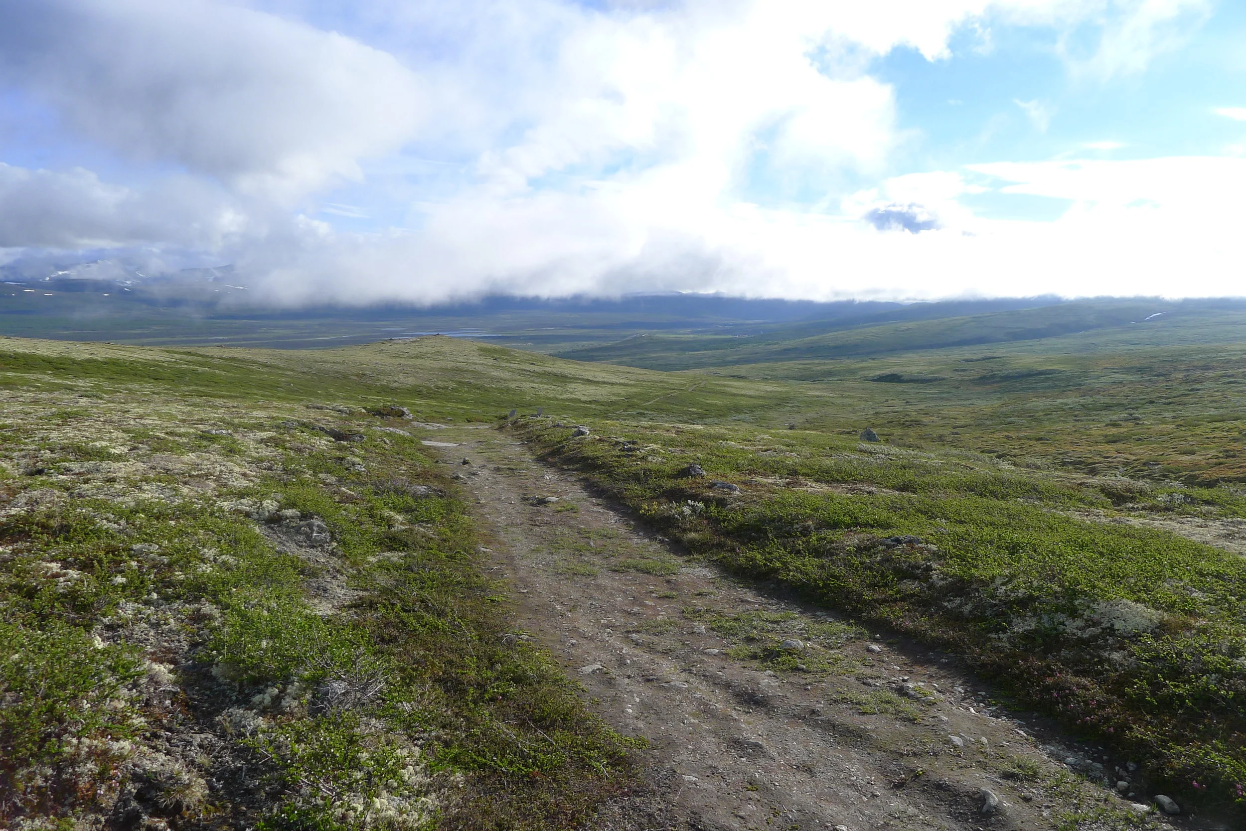 Kongevegen ved Hardbakken med utsikt mot Fokstua. Foto: Marit Johansson