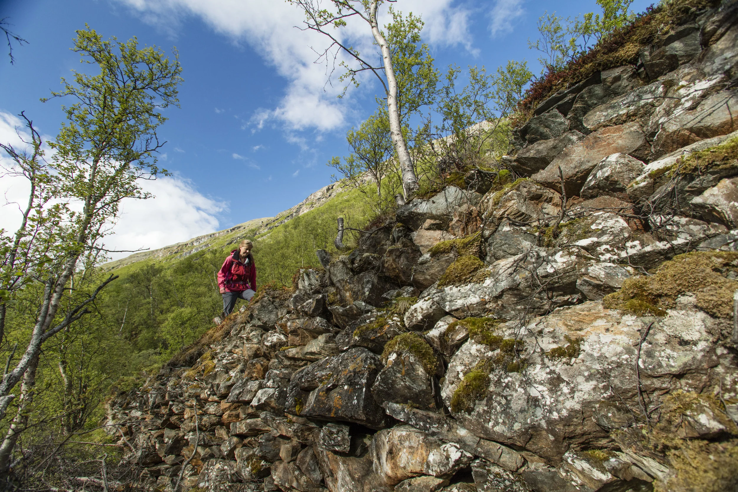 Foredrag om Kongevegen over Dovrefjell på Oppdal og Dovre