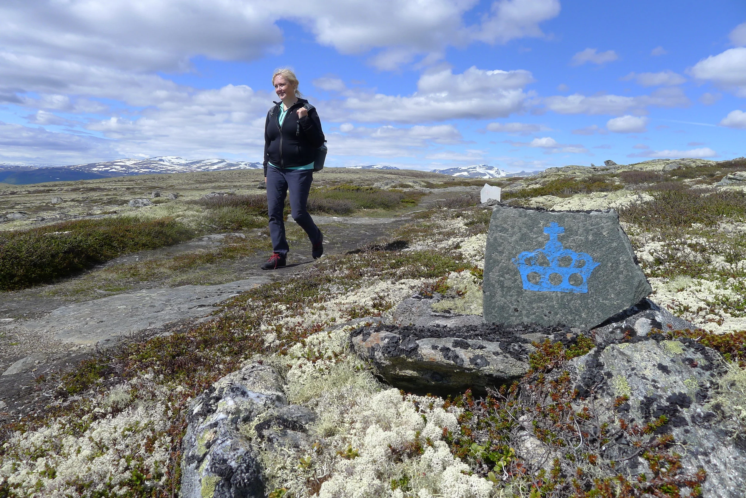 Informasjonsmøter om Hovedprosjekt Kongevegen over Dovrefjell på Dovre og Oppdal