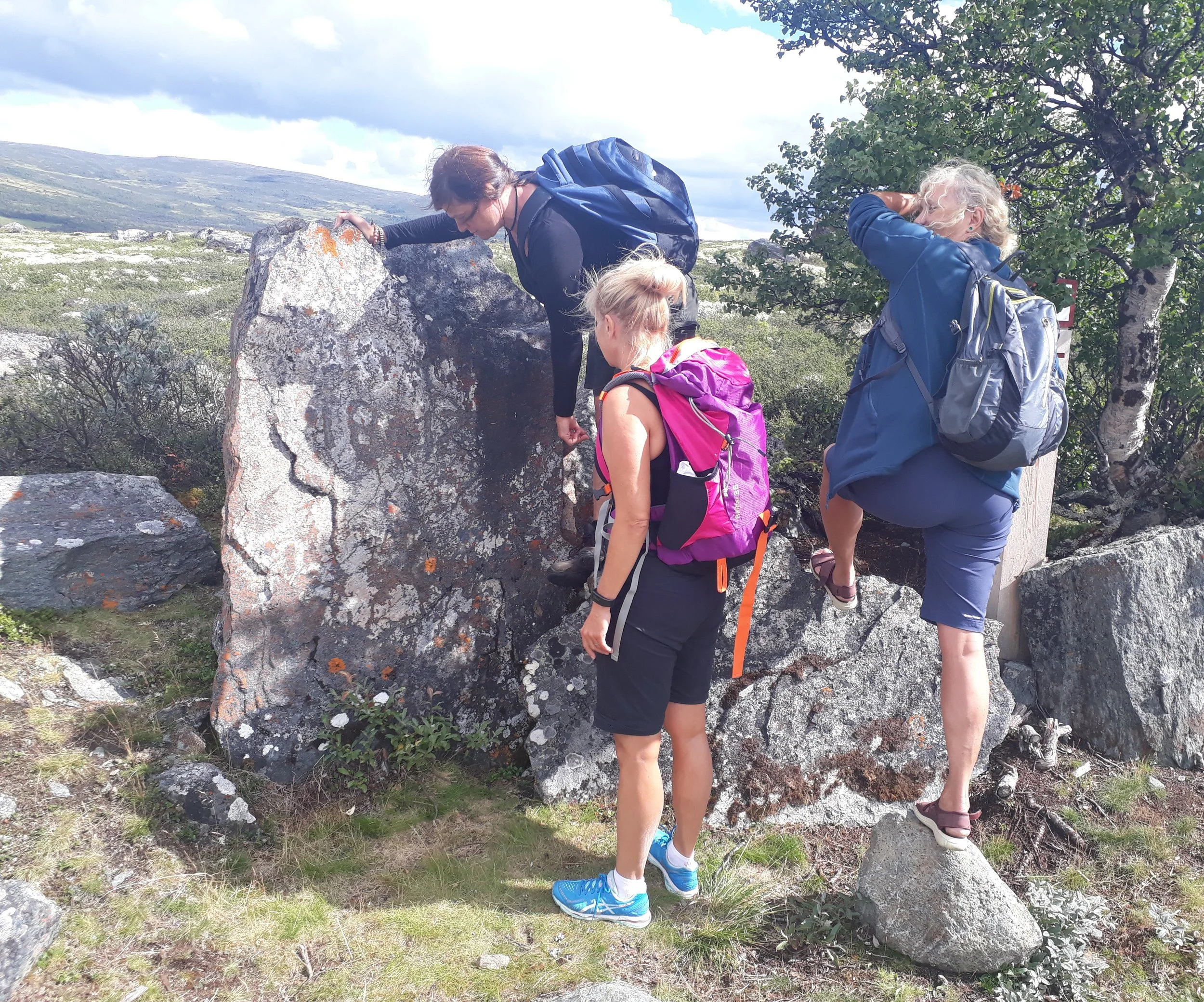 Oppdagelse av årstall på en av steinene langs kongevegen over Hjerkinnhø. Foto: Marit Johansson