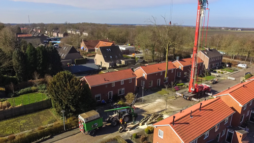 bomen kappen