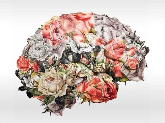 Observe the brain’s capacity to concentrate and build up slowly, meditating for between 5-10 minutes.