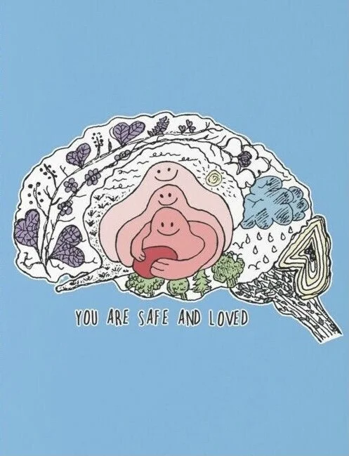 The Amygdala aka our Excitable Friend - Part 1