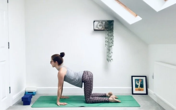 rise &amp; shine w/ meditation