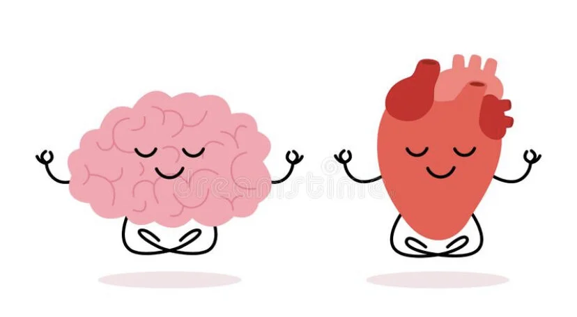 The Prefrontal Cortex aka our Sensible Friend - Part 2