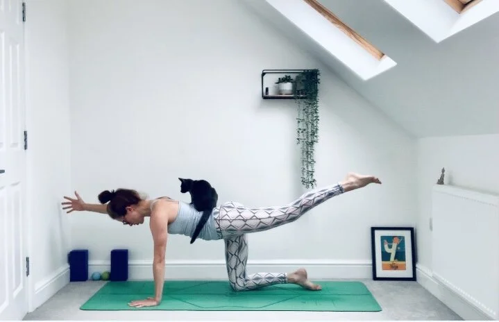 energise &amp; awaken