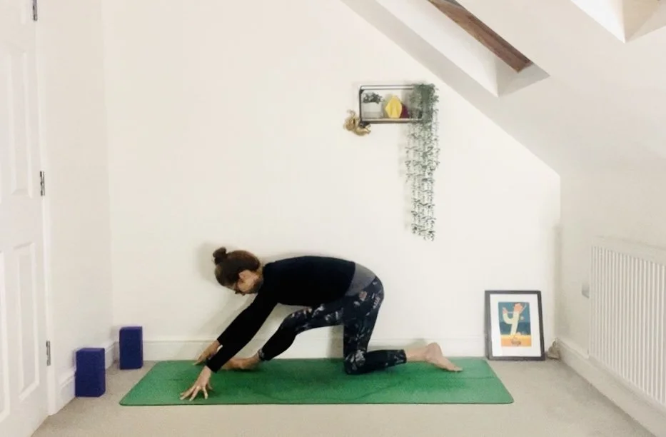 rise &amp; shine w/ meditation