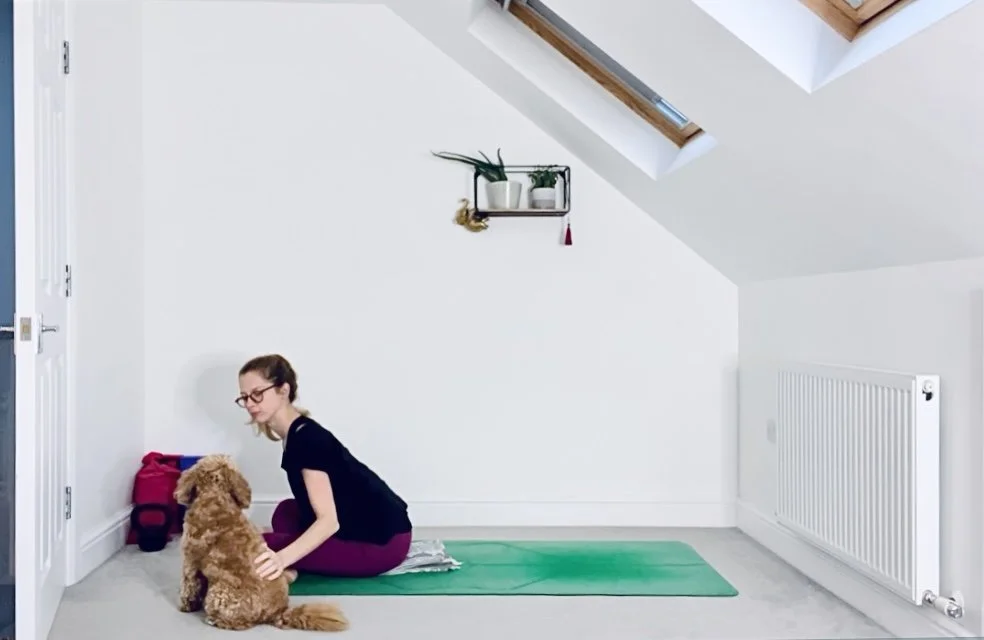 rise &amp; shine w/ meditation