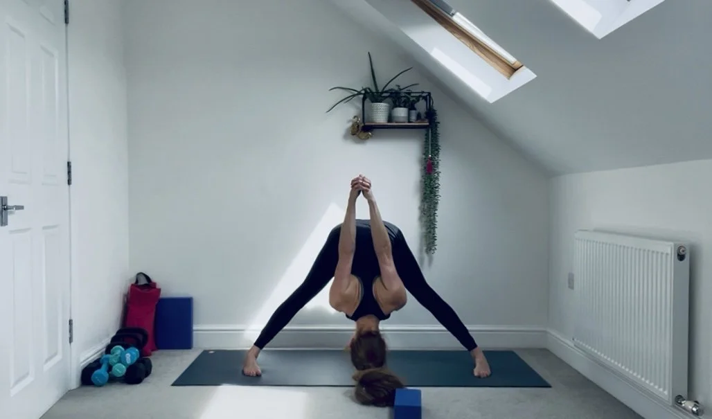 midday movement