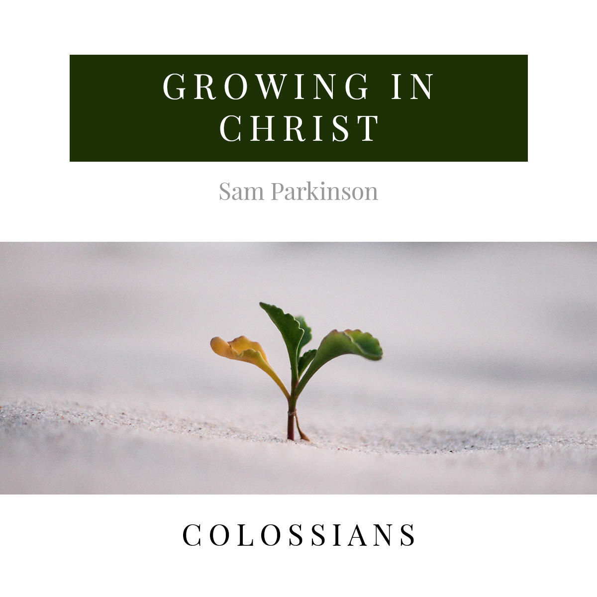 Growing in Christ.png