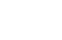 spark-your-bloom-logo.png