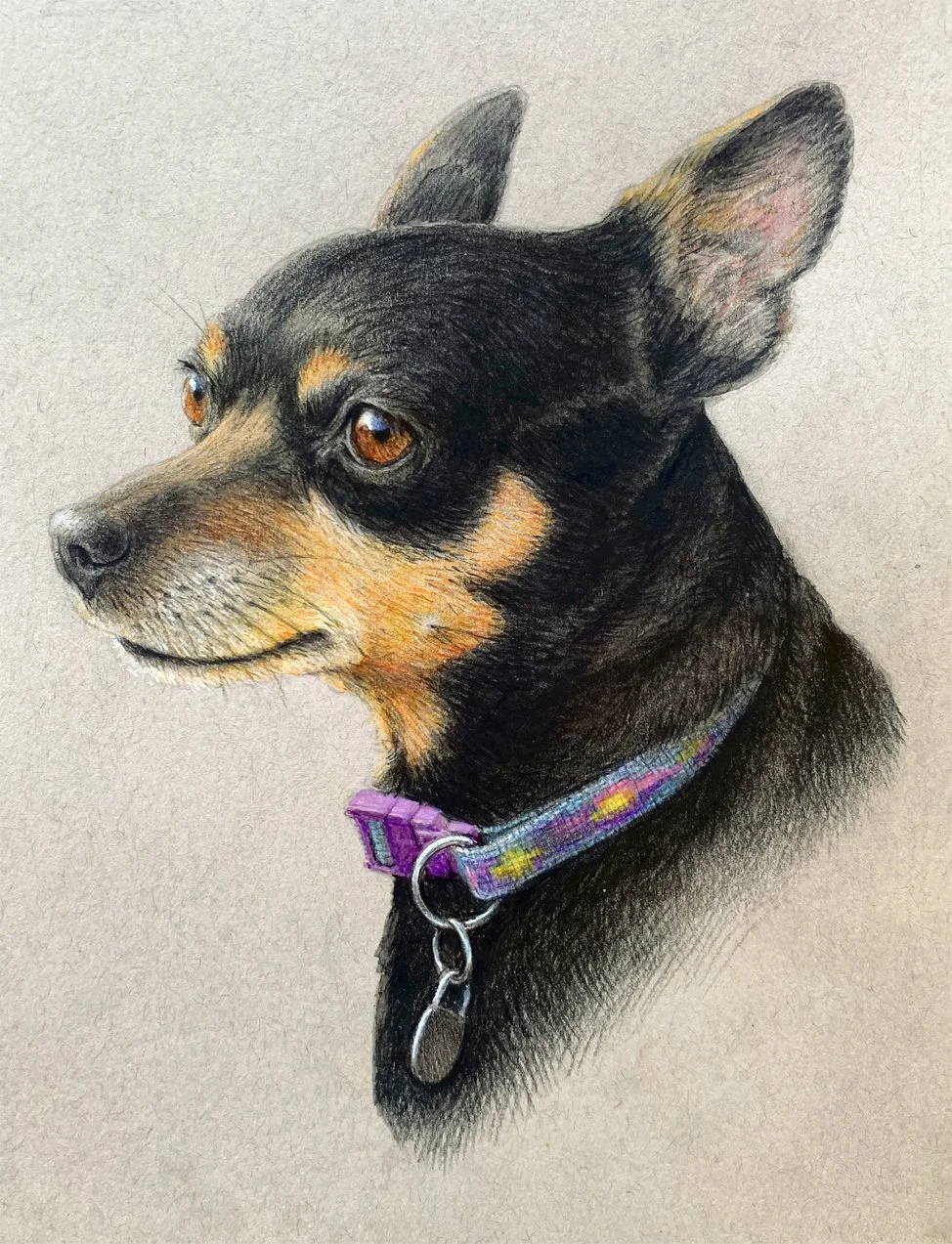 roxie 1.jpg