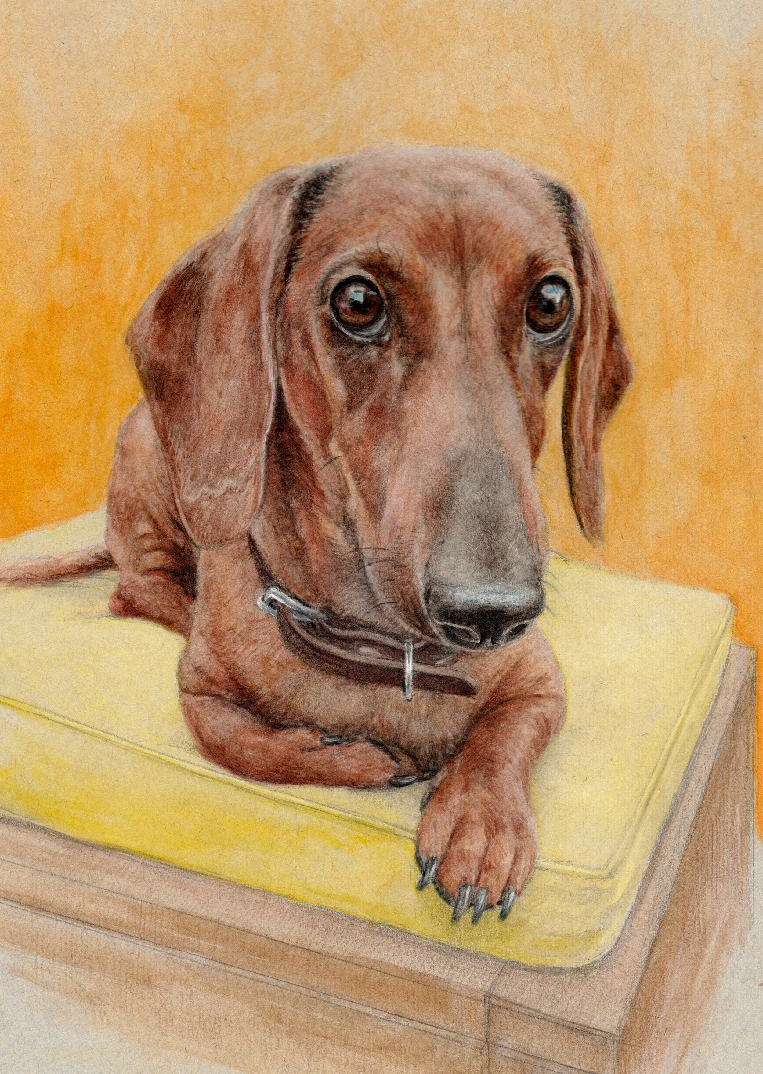 WEINER.jpg