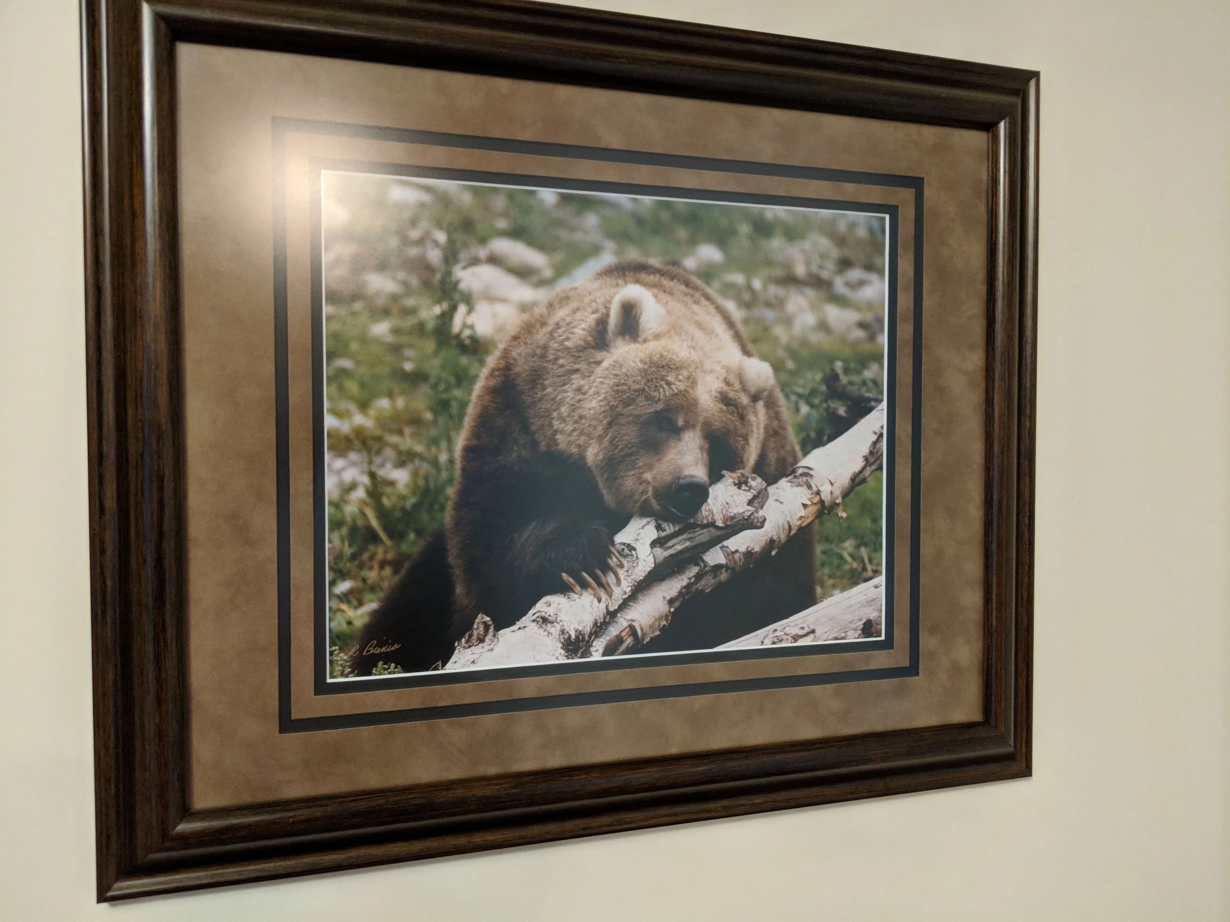 Kennesaw Estate Sale 