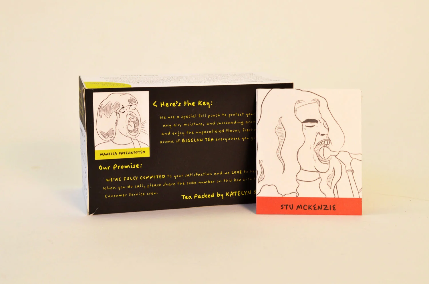  My concept was to use the individual tea pouches as trading cards. Each flavor corresponds with a contemporary musician who has been rated for overall punk credibility on a screaming teakettle scale, and consumers can collect the cards as they try new flavors.
