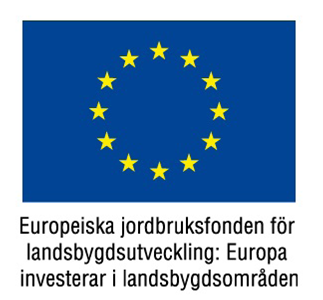 EU-logga.png