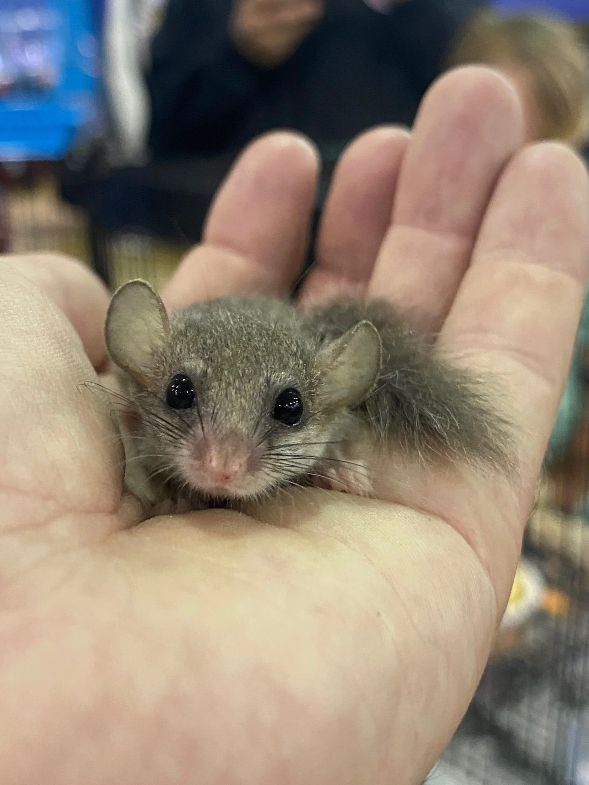 2D983252-C064-4D7A-9ADE-40F497817224