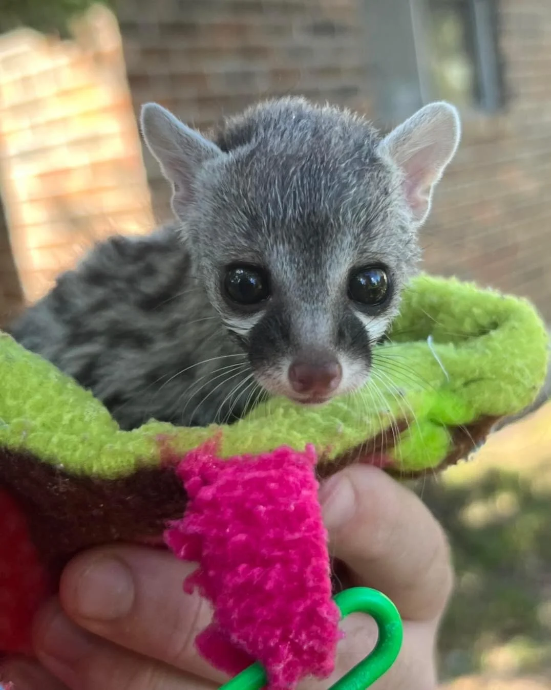 DF2DF467-BF12-418B-A3EA-F788918B3664