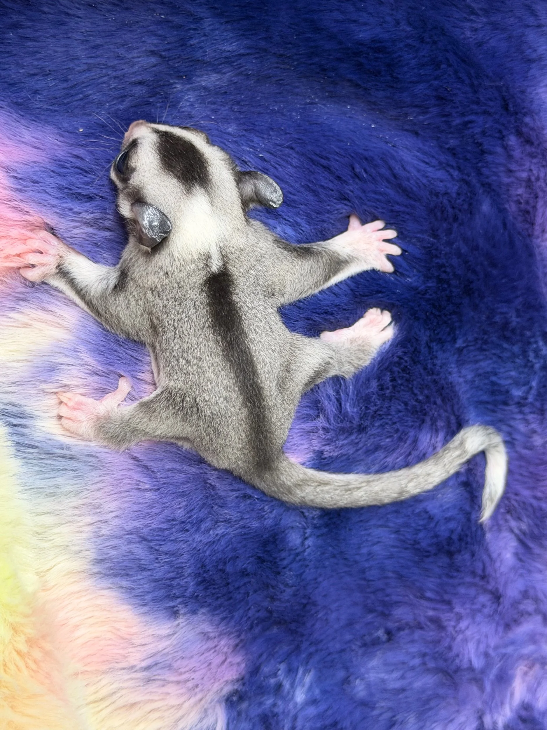 B868CF47-1B39-497A-A488-8B3382672A3C.jpeg