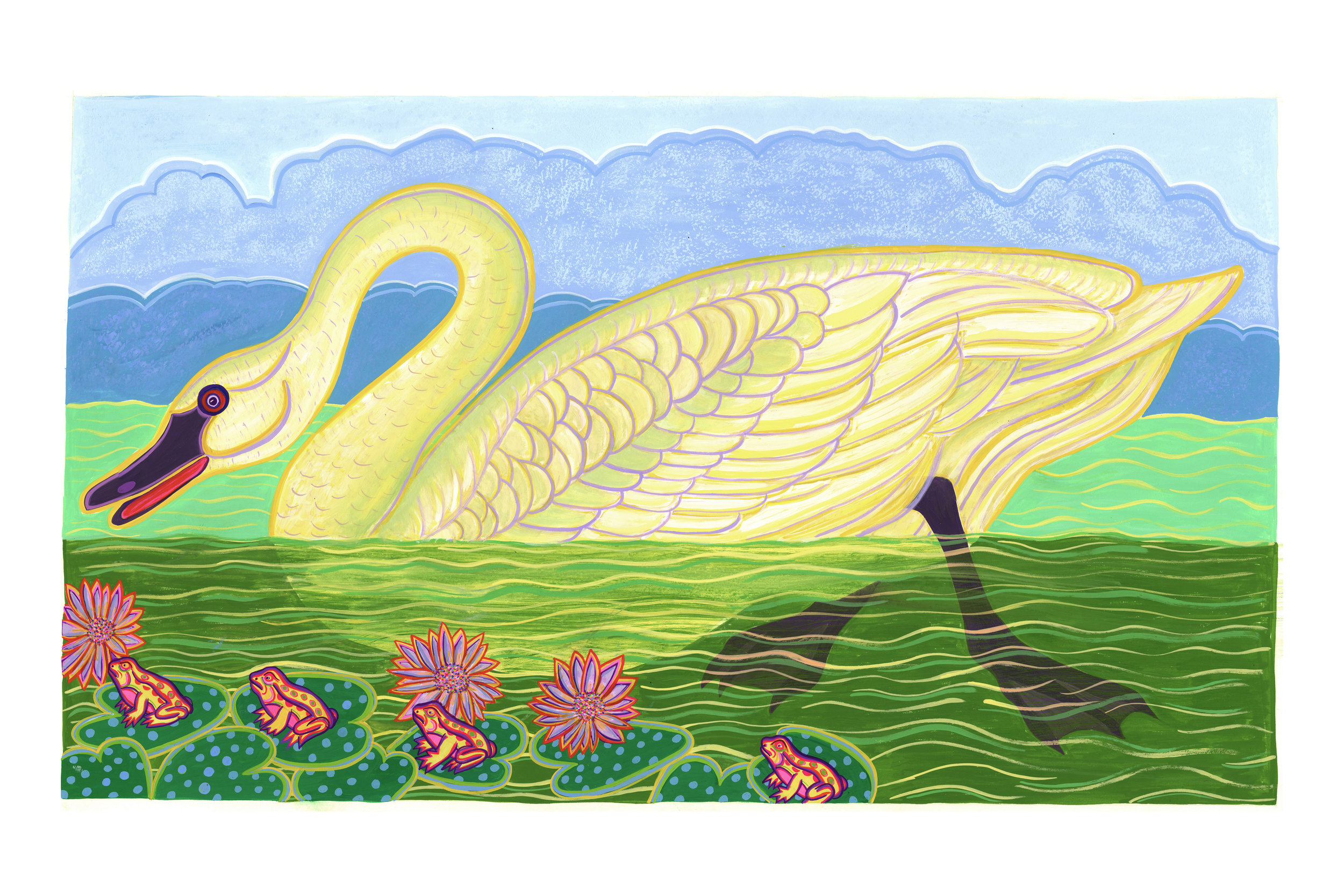 Beyond Audubon, American Swan