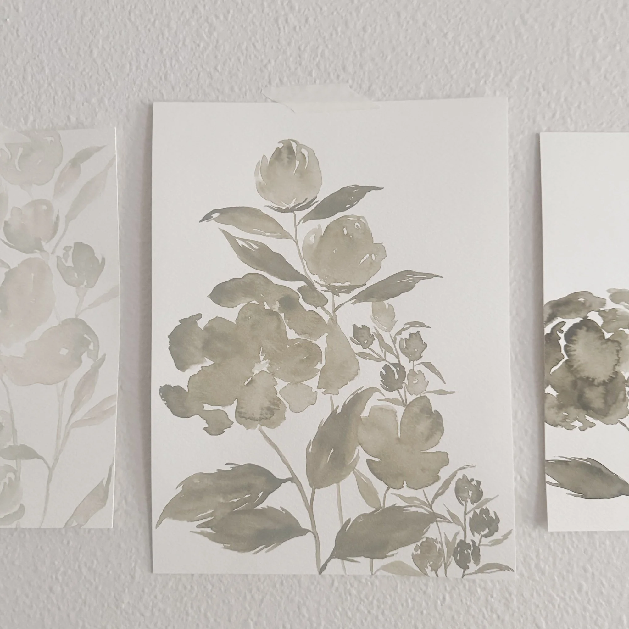 Soft Color - 05 / 24