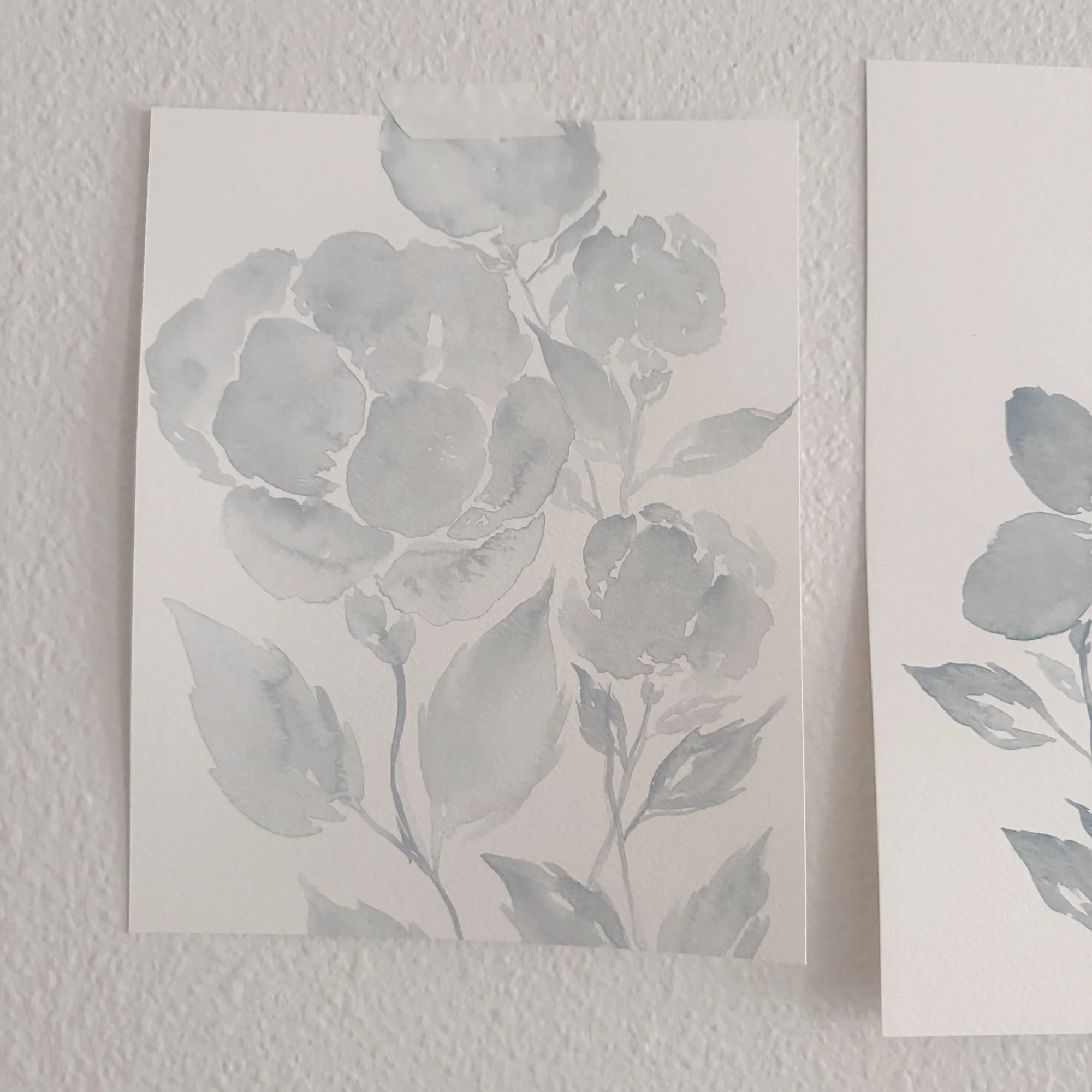 Soft Color - 19 / 24