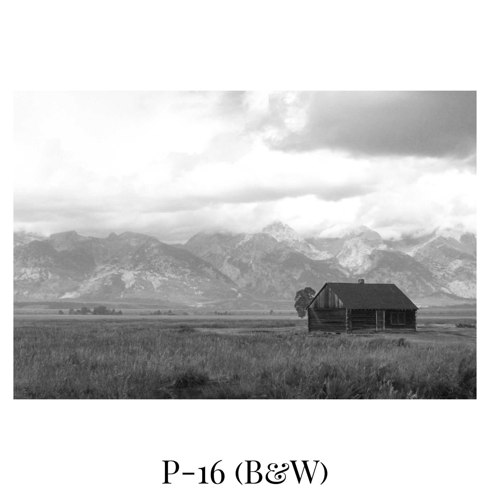 Photography Catalog.png