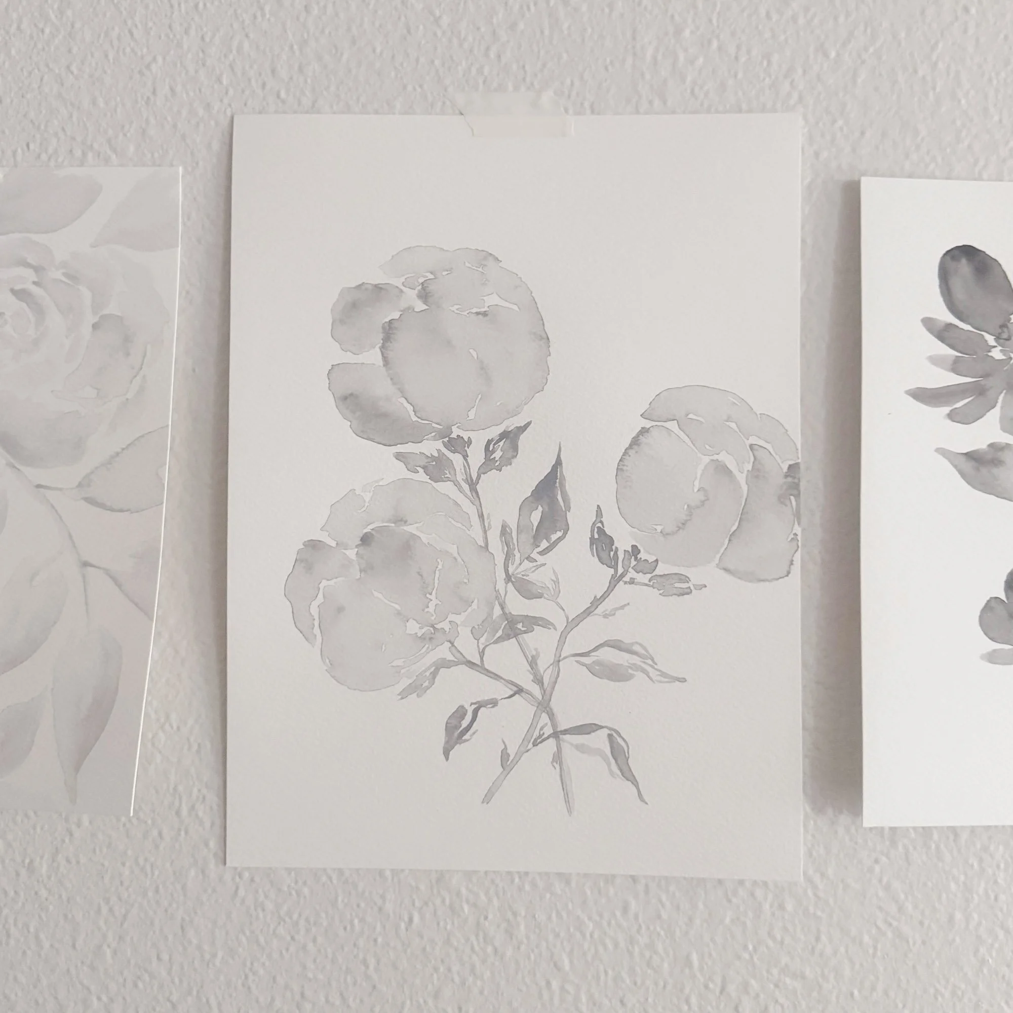 Soft Color - 23 / 24