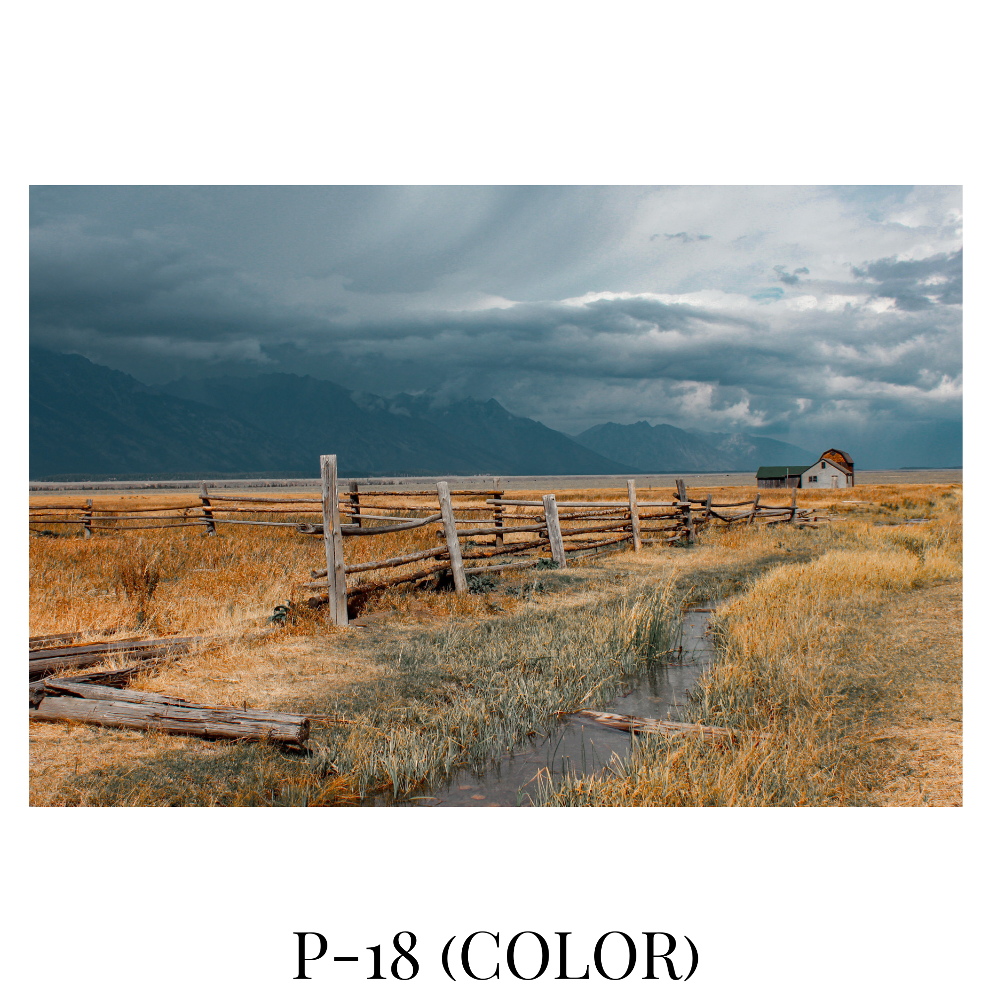 Photography Catalog (1).png