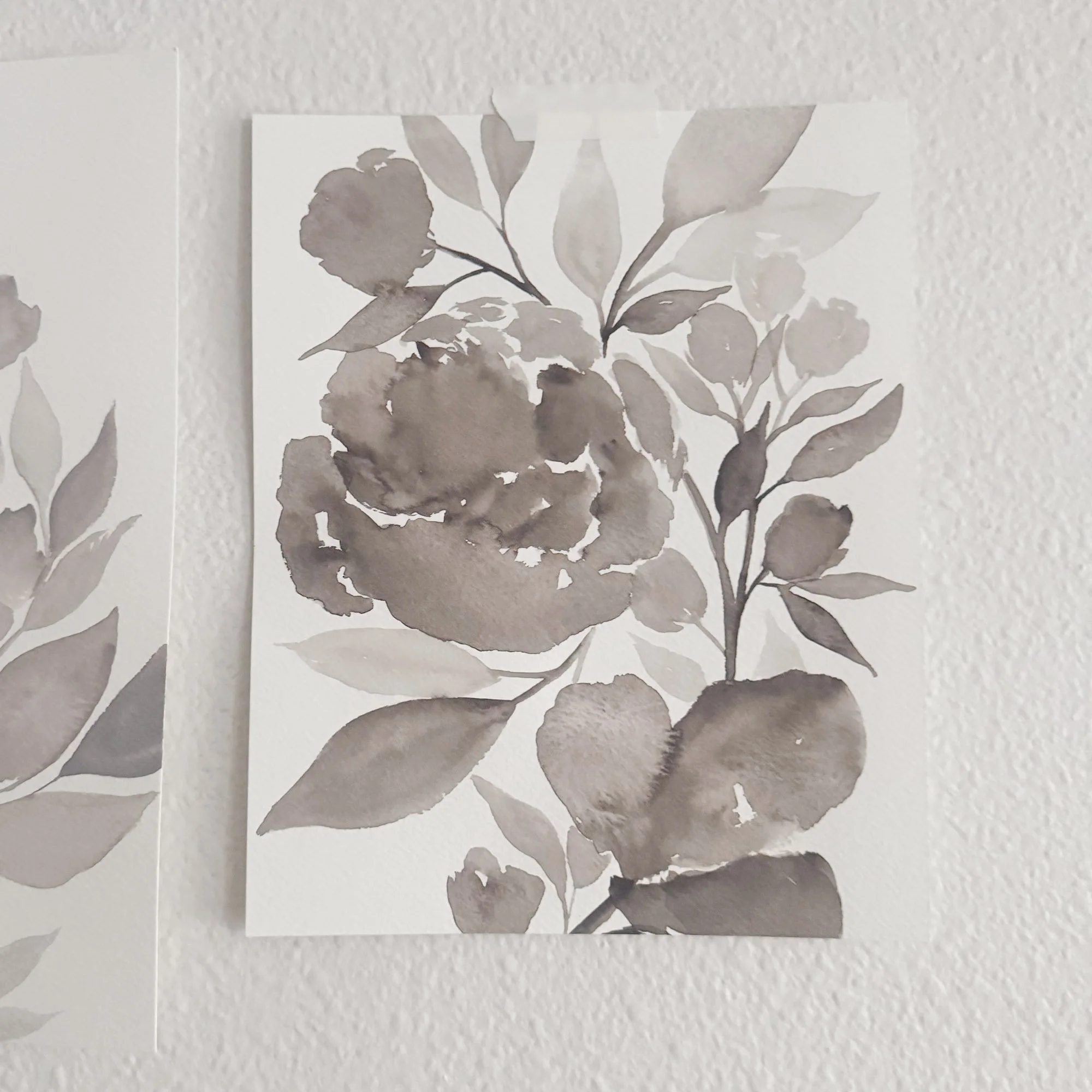 Soft Color - 12 / 24