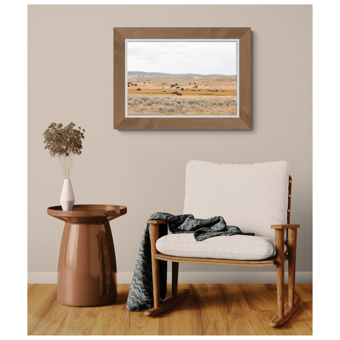 Yellowstone Open Range bison fine art print, framed and matted, styled in a room next to a chair, Britt Vasina Studio