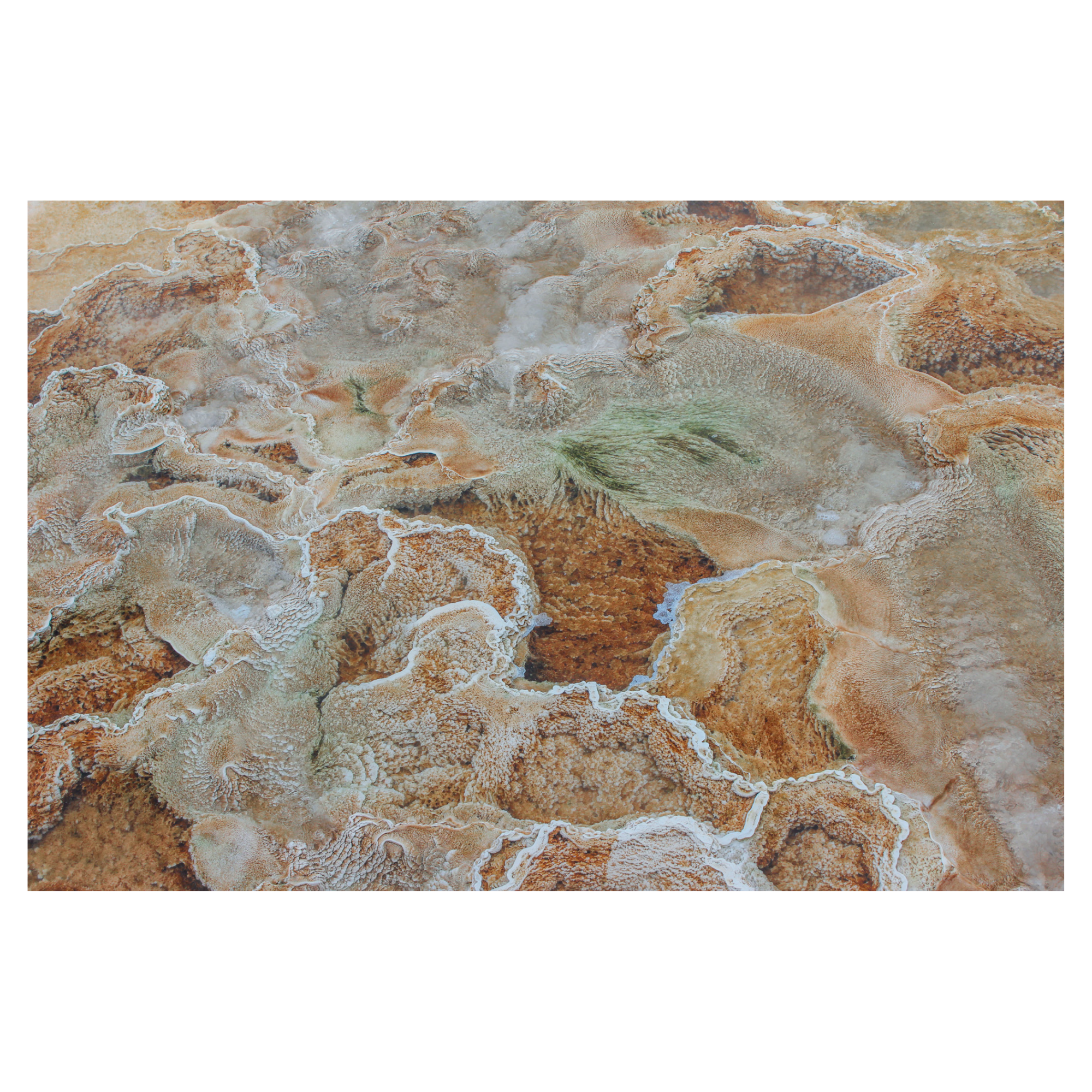 Thermal Veins | Yellowstone Abstract Mineral Print