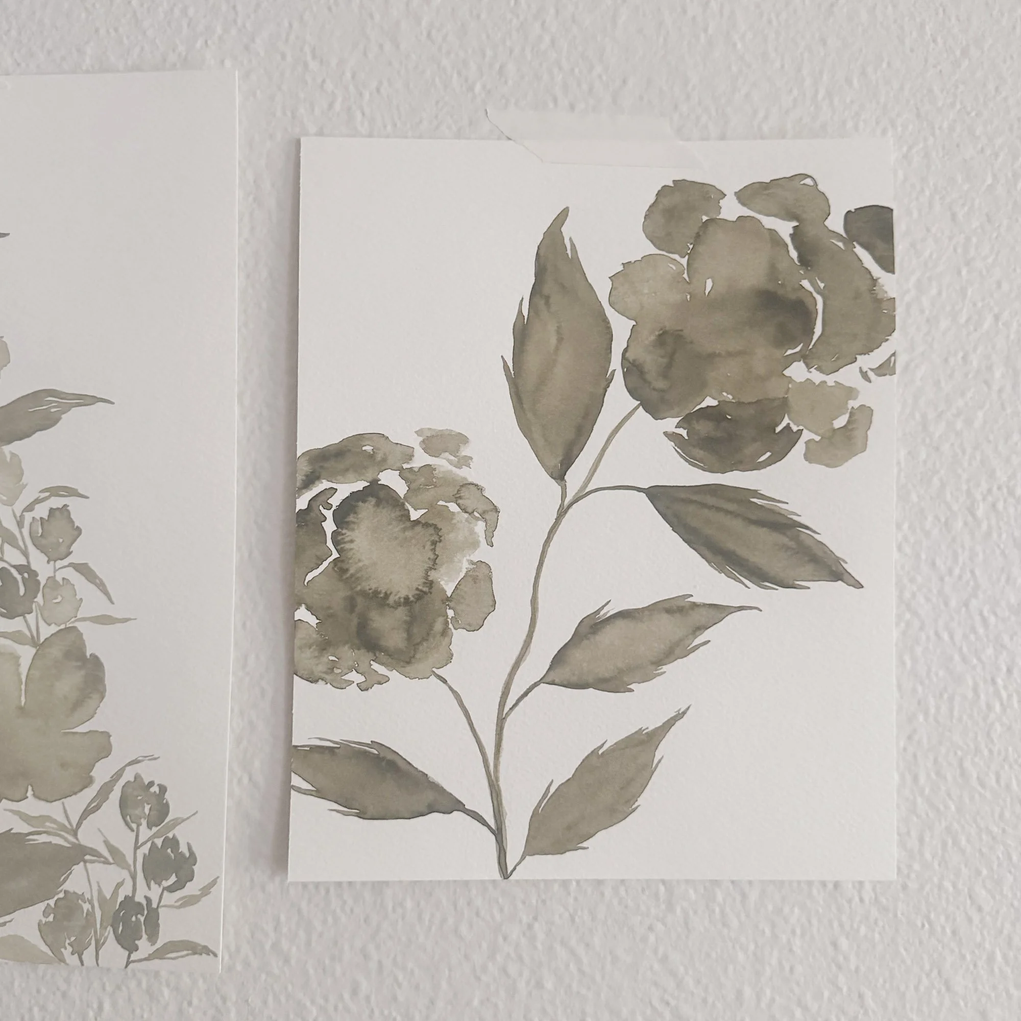 Soft Color - 06 / 24