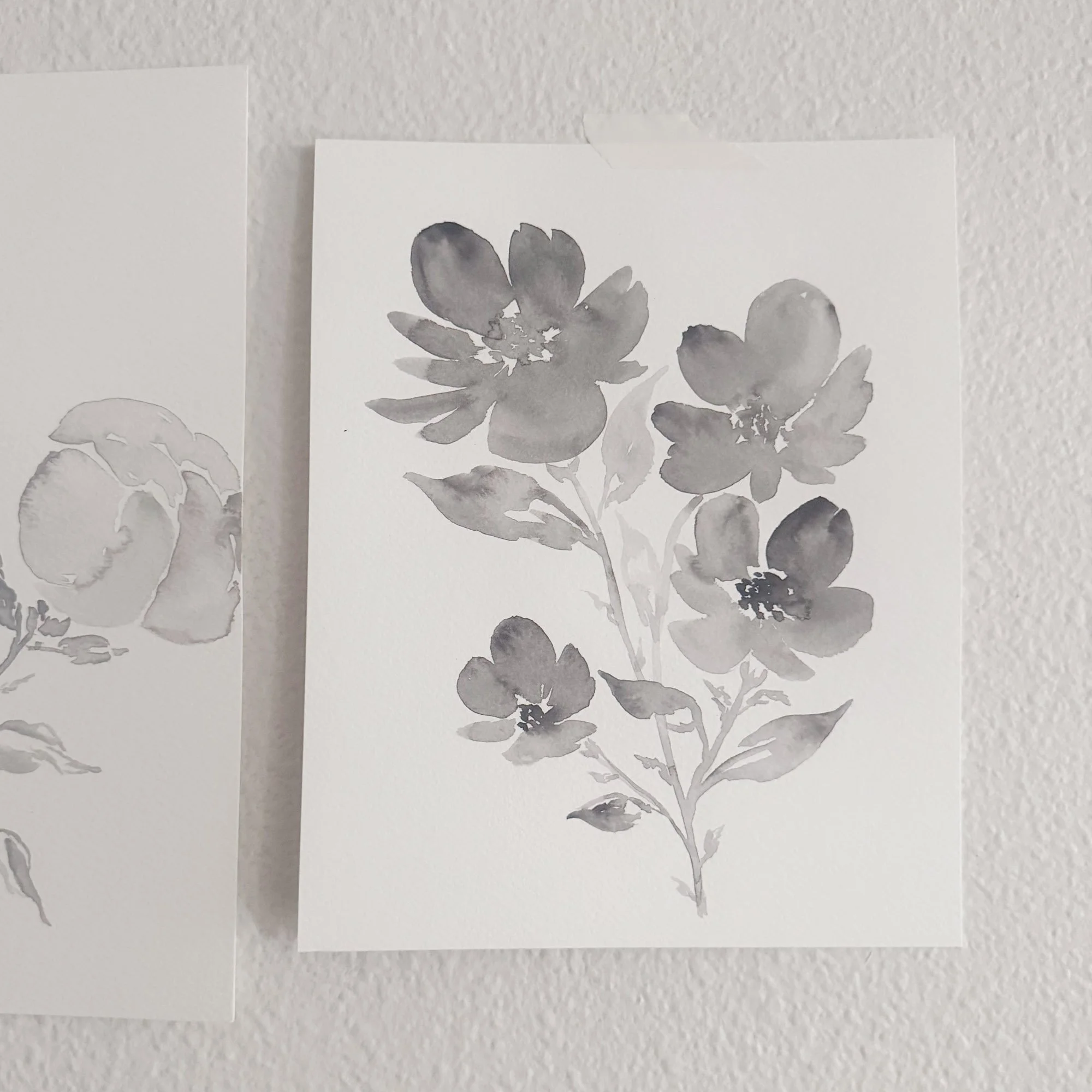 Soft Color - 24 / 24