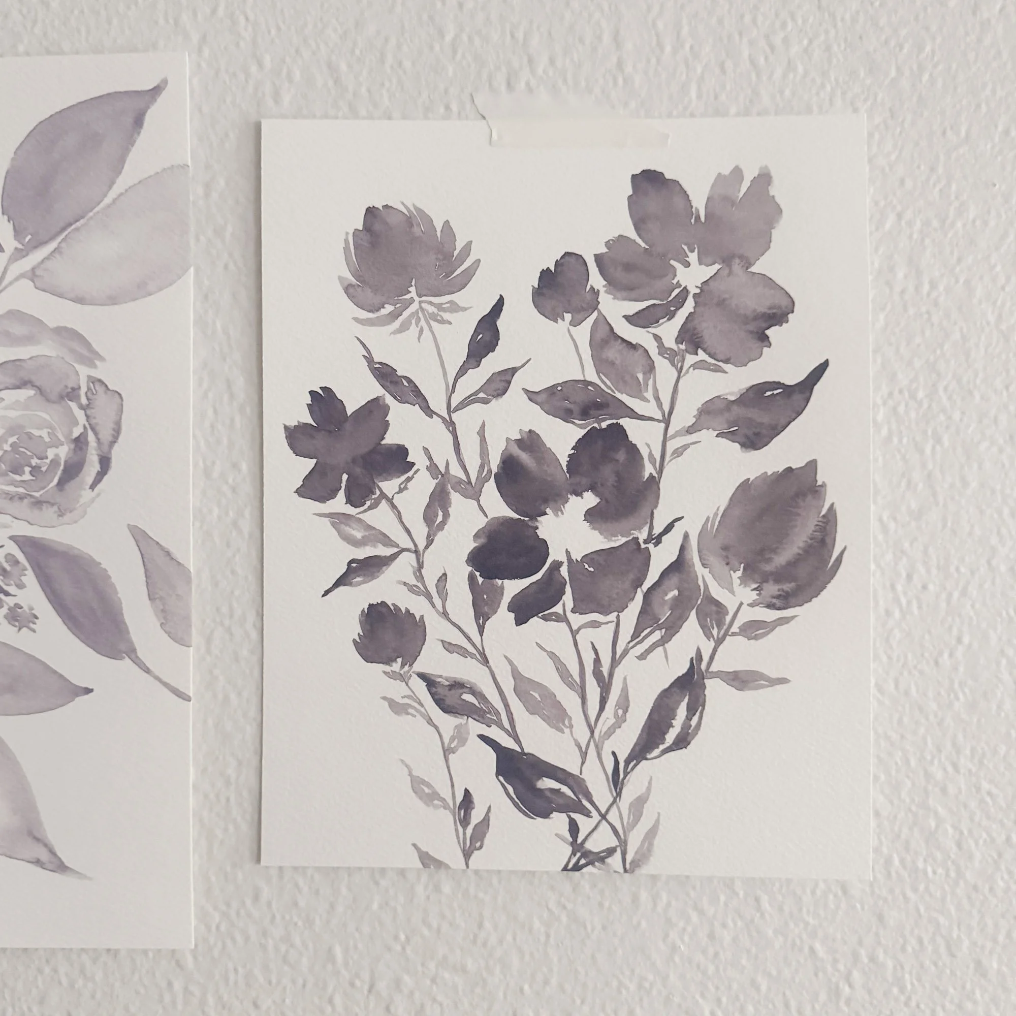 Soft Color - 18 / 24