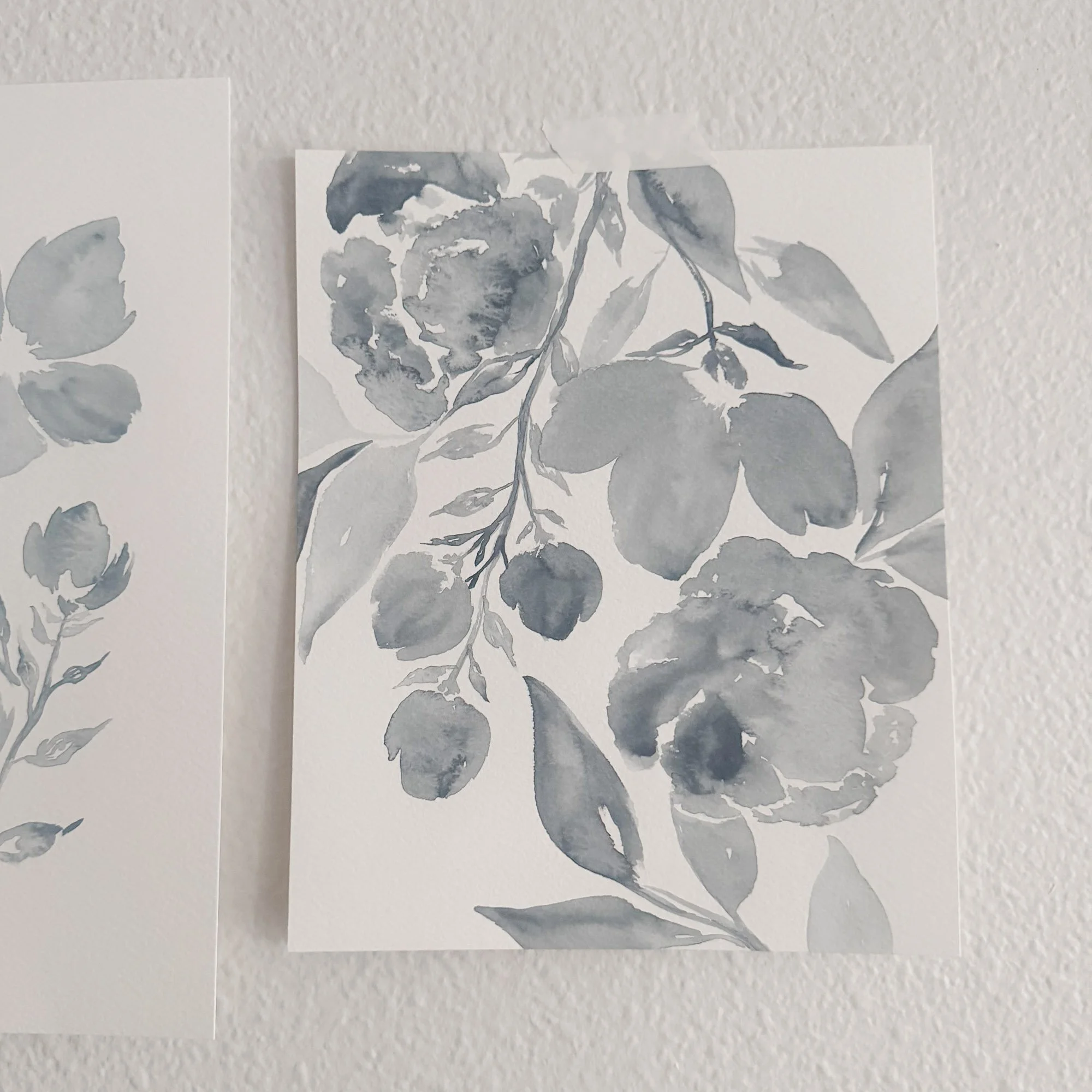 Soft Color - 21 / 24