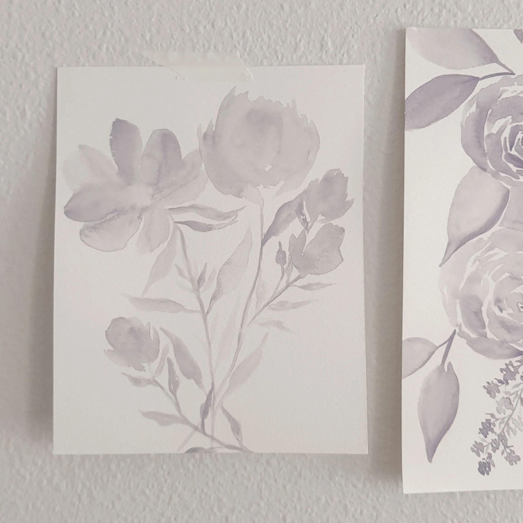 Soft Color - 16 / 24