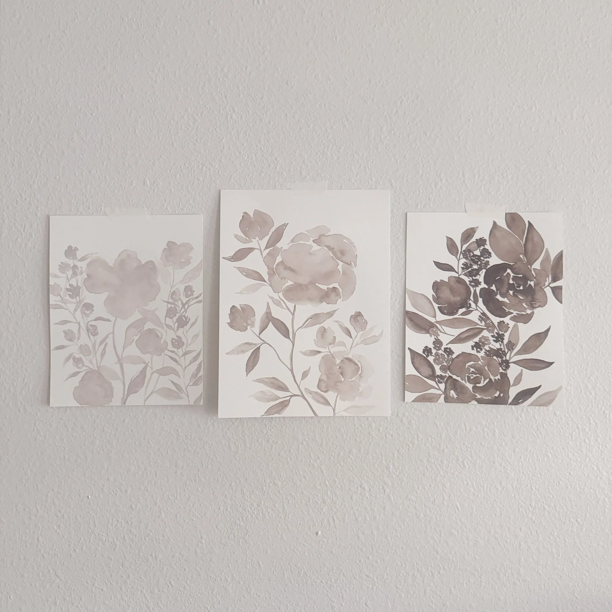 Soft Color-15.jpg (Copy) (Copy)