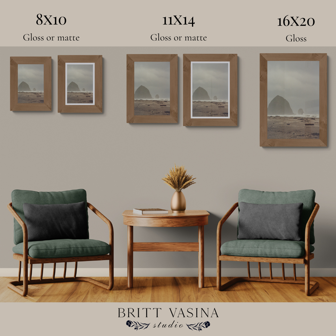 Fine art print size comparison showing 8x10, 11x14, and 16x20 options, Britt Vasina Studio