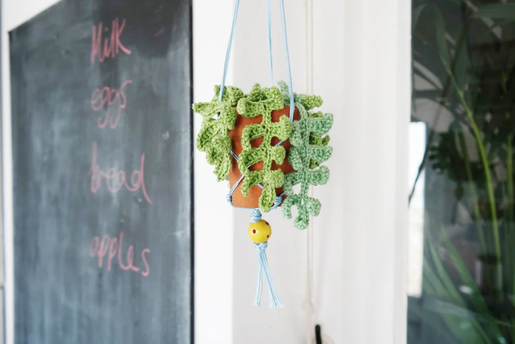 crochet_fern1-1024x683.jpg