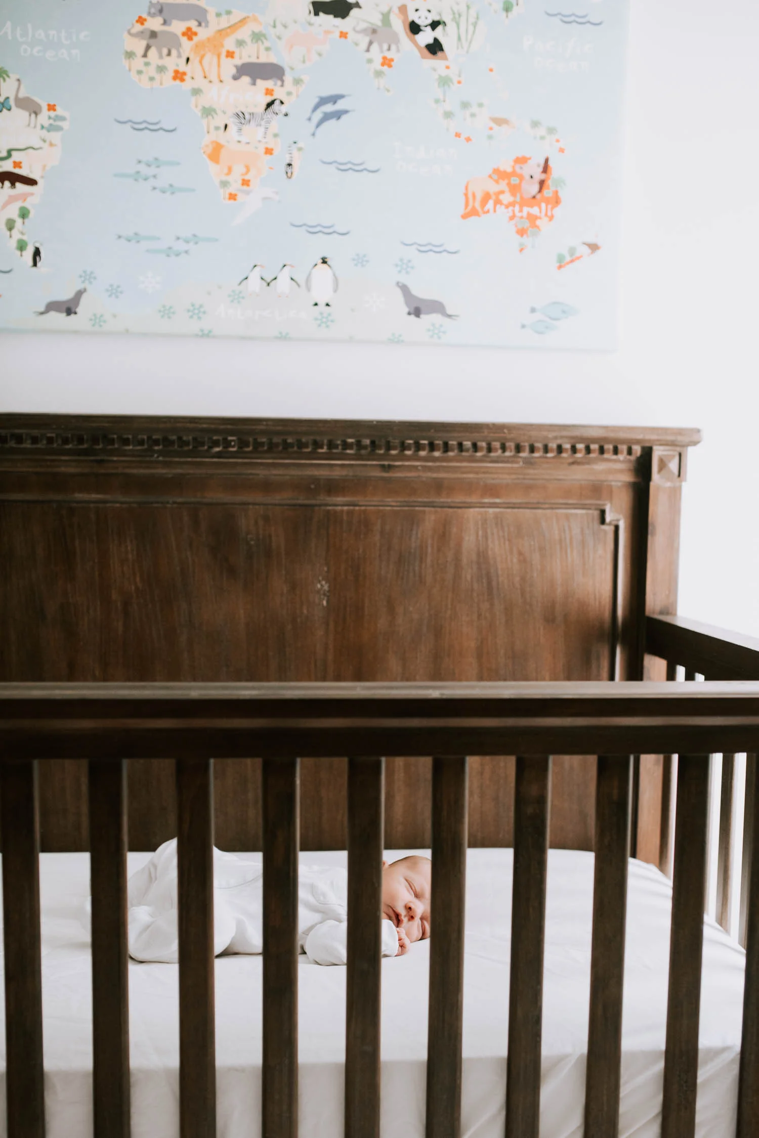 james web (54 of 127).jpg