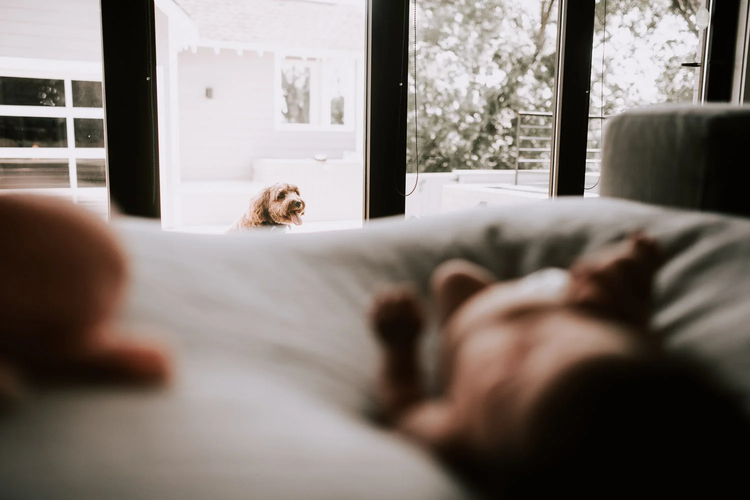 nashvillenewbornphotographer (18 of 136).jpg