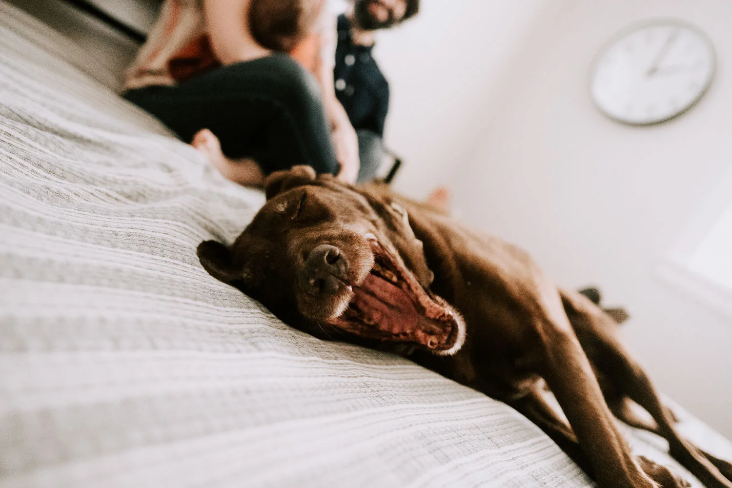 nashvillenewbornphotographer (132 of 136).jpg