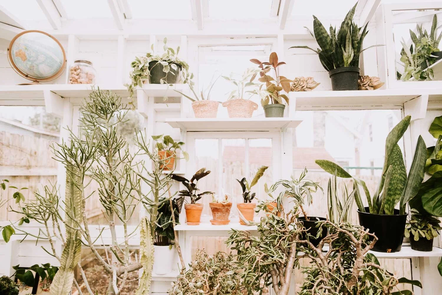 NashvilleNewbornPhotographer (23 of 58).jpg