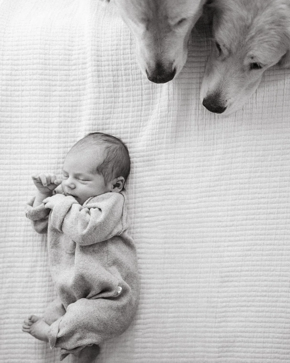 SAVE 👆🏼FOR LIFESTYLE NEWBORN INSPO!

The absolute best time meeting baby Baker! My time with @bradyskjei and @gracia.skjei is pure joy and I am so thankful they asked me to document life at home with their new bundle of love!

&mdash;&mdash;

&ldqu