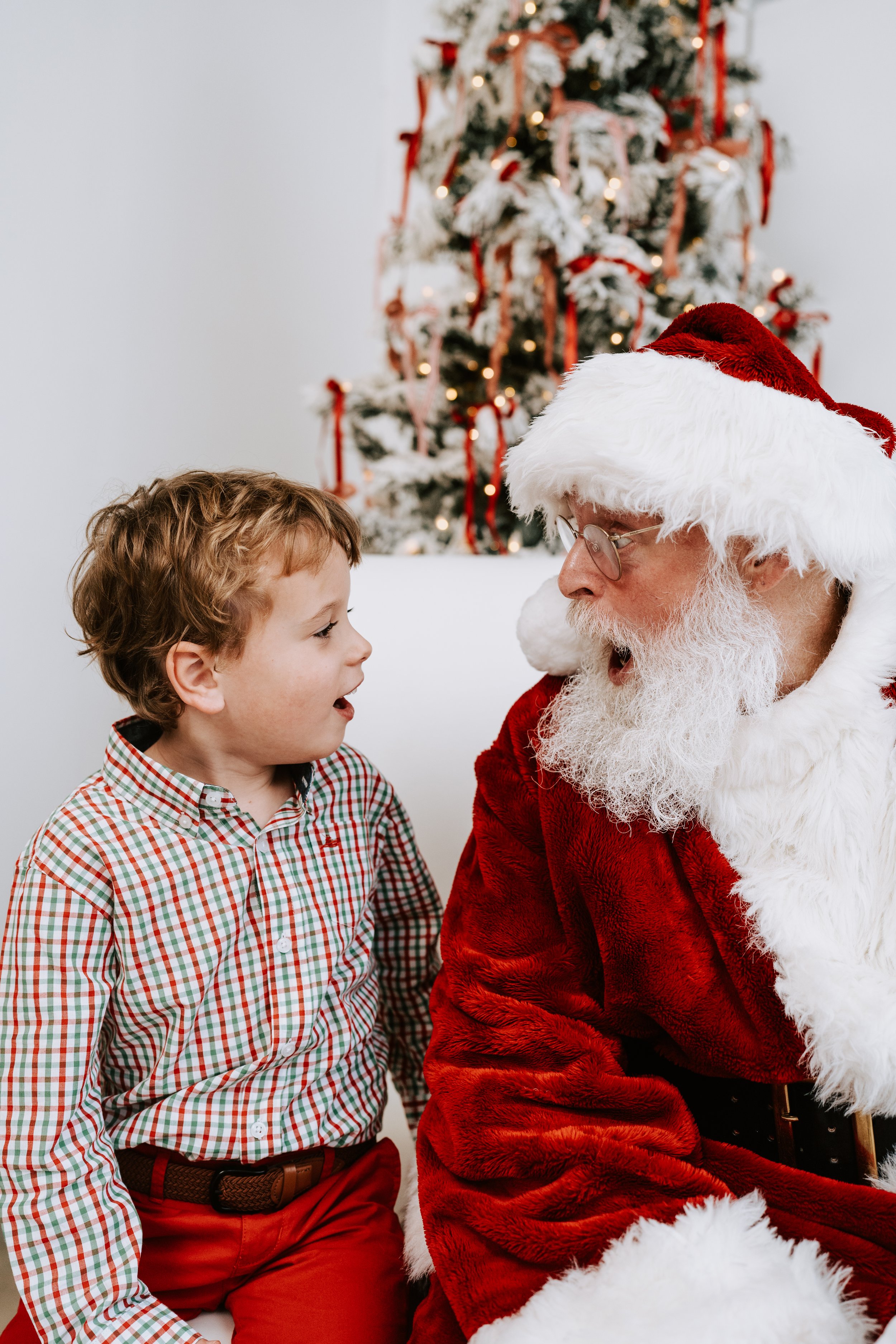 BrigetteBillupsPhotography_Santa2023_Dees-13.jpg