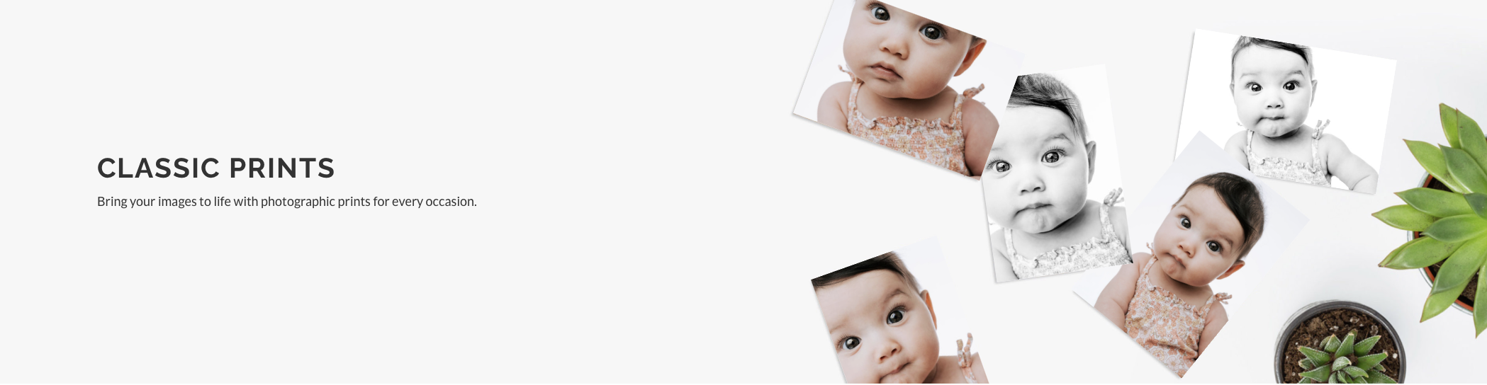 Screenshot 2025-09-08 at 5.44.47 AM.png