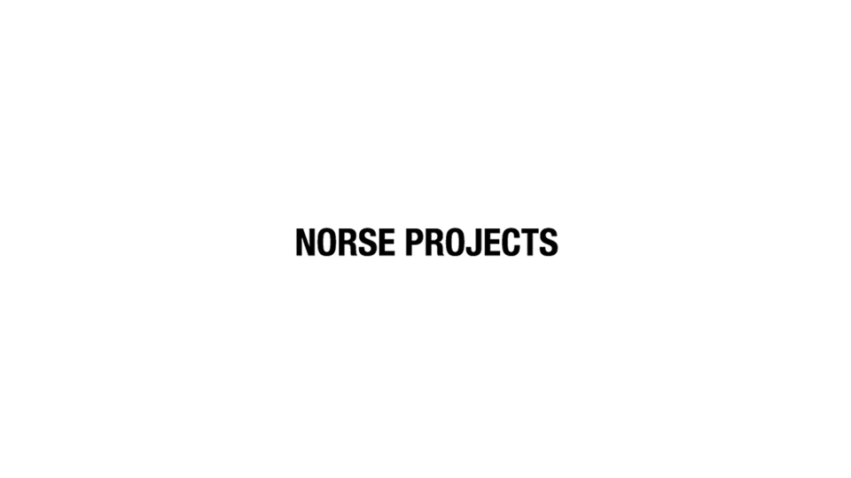 Norseprojectsportal.png